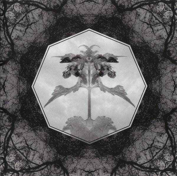 horehound