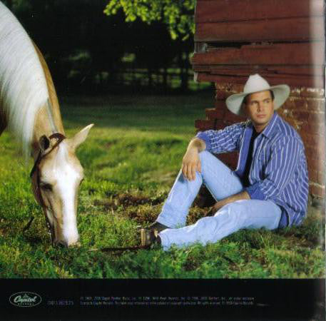 no-fences-(tenth-anniversary-special-edition)