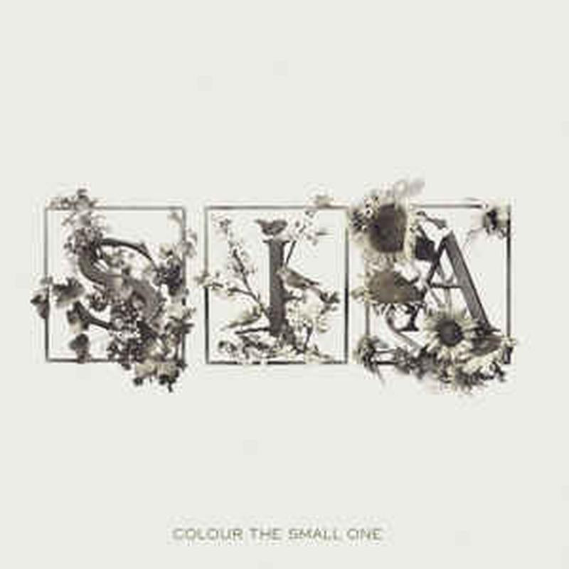 colour-the-small-one
