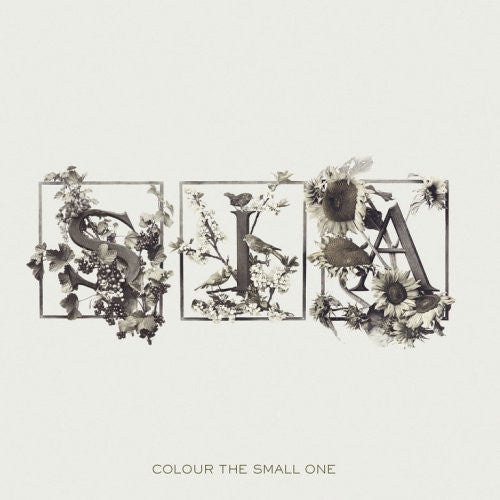 colour-the-small-one