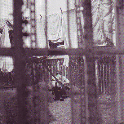 chaos-and-creation-in-the-backyard