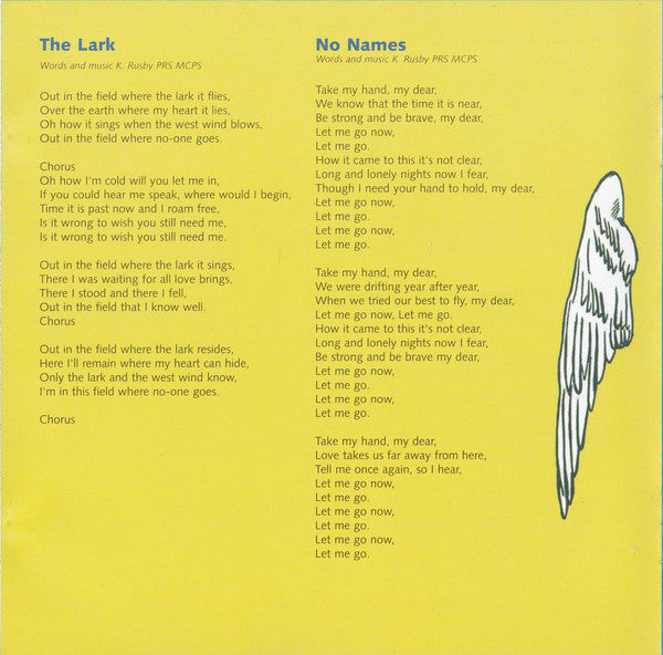 the-girl-who-couldnt-fly