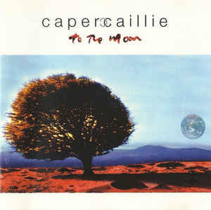 to-the-moon
