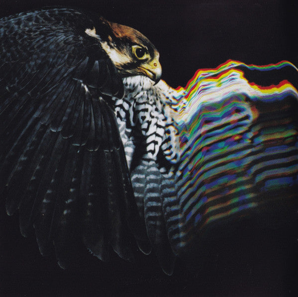 falcon