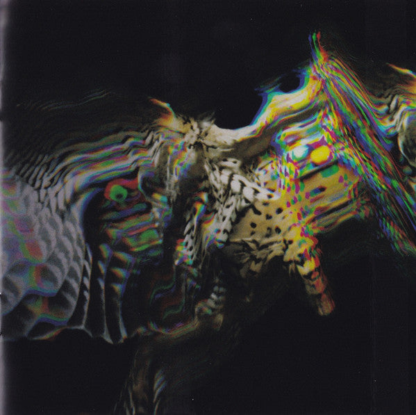 falcon
