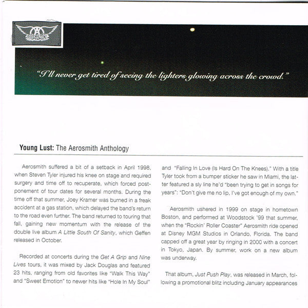 young-lust:-the-aerosmith-anthology