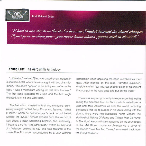 young-lust:-the-aerosmith-anthology