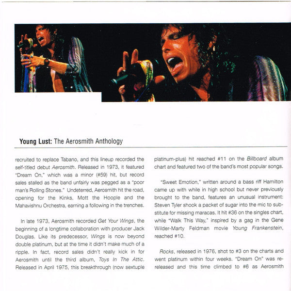 young-lust:-the-aerosmith-anthology