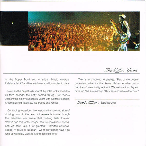 young-lust:-the-aerosmith-anthology