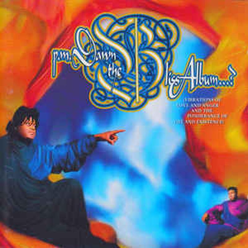 the-bliss-album-(vibrations-of-love-and-anger-and-the-ponderance-of-life-and-existence)