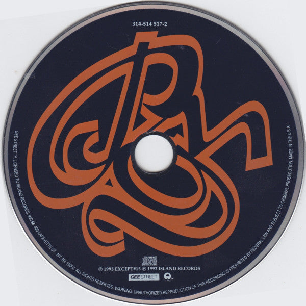 the-bliss-album-(vibrations-of-love-and-anger-and-the-ponderance-of-life-and-existence)