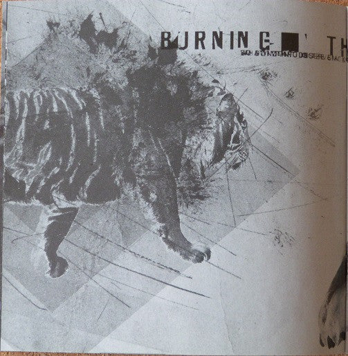 a-thousand-suns