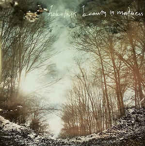 beauty-in-madness