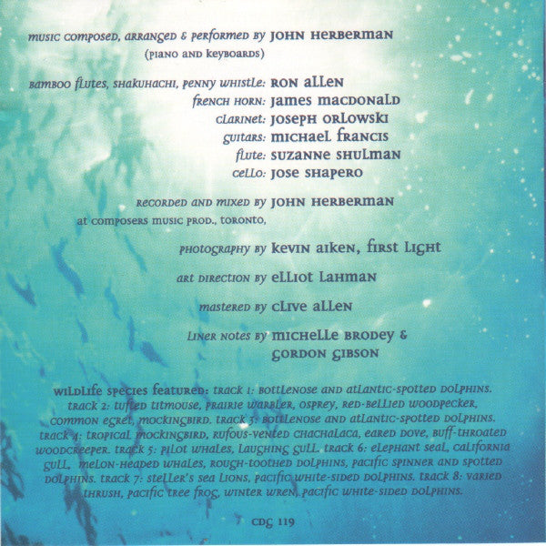 angels-of-the-sea