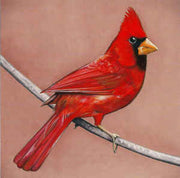 old-crows-/-young-cardinals