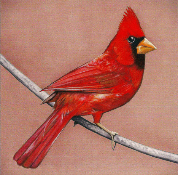 old-crows-/-young-cardinals