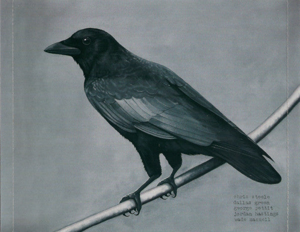 old-crows-/-young-cardinals