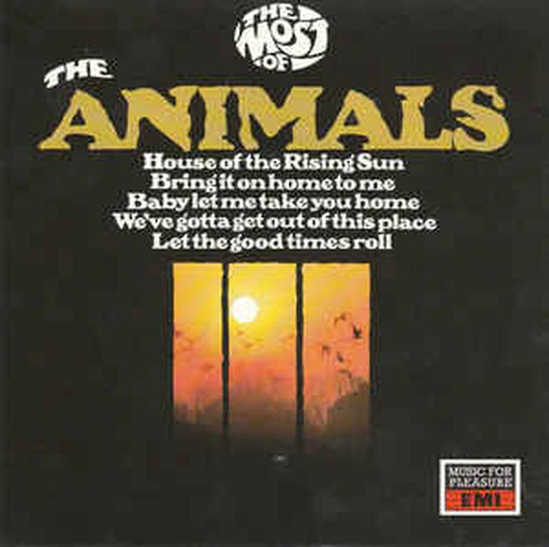 the-most-of-the-animals