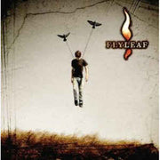 flyleaf