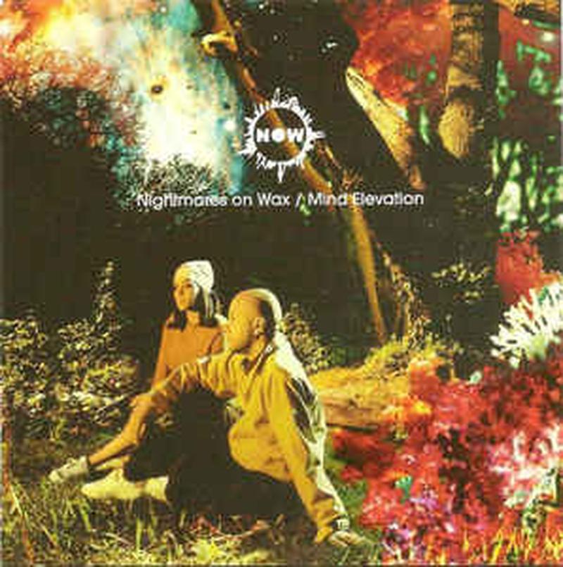 mind-elevation