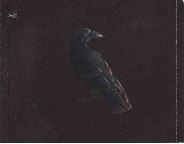 lonesome-crow