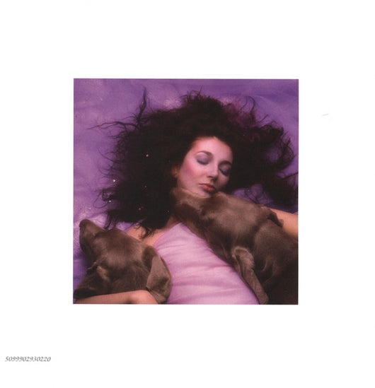 hounds-of-love
