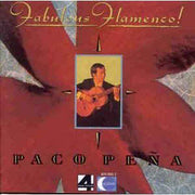 fabulous-flamenco!