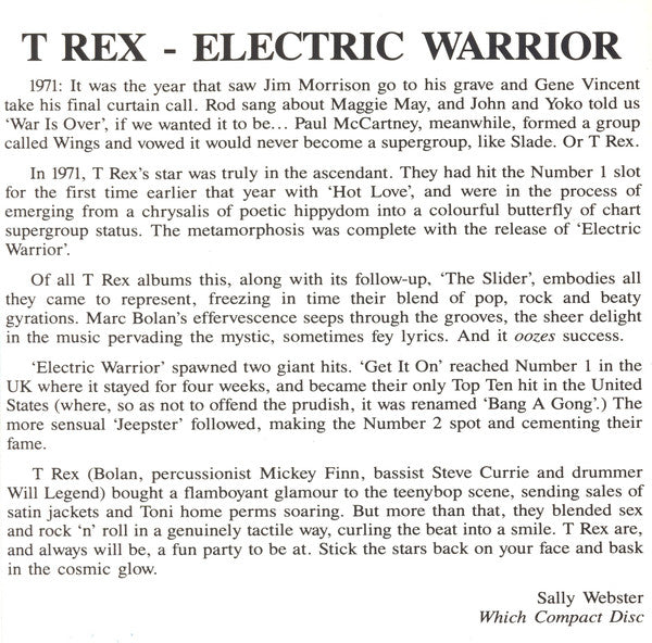 electric-warrior