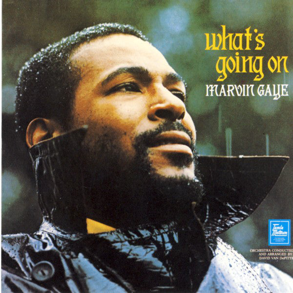 whats-going-on
