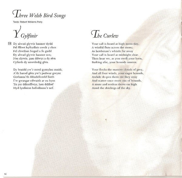 voice-of-an-angel