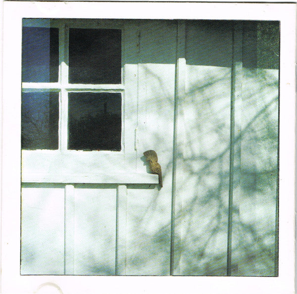 young-pilgrim