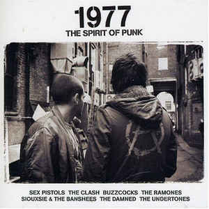 1977---the-spirit-of-punk