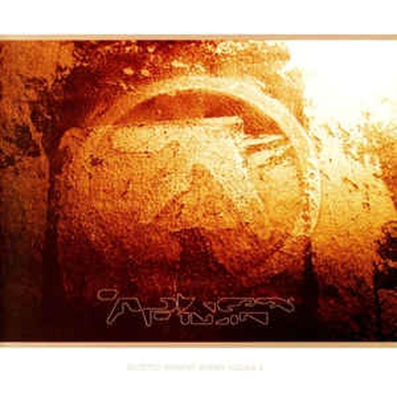 selected-ambient-works-volume-ii