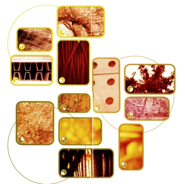 selected-ambient-works-volume-ii