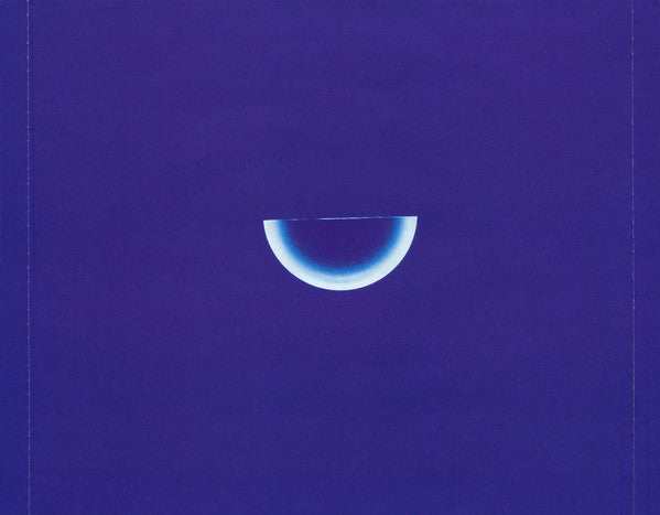beaucoup-fish