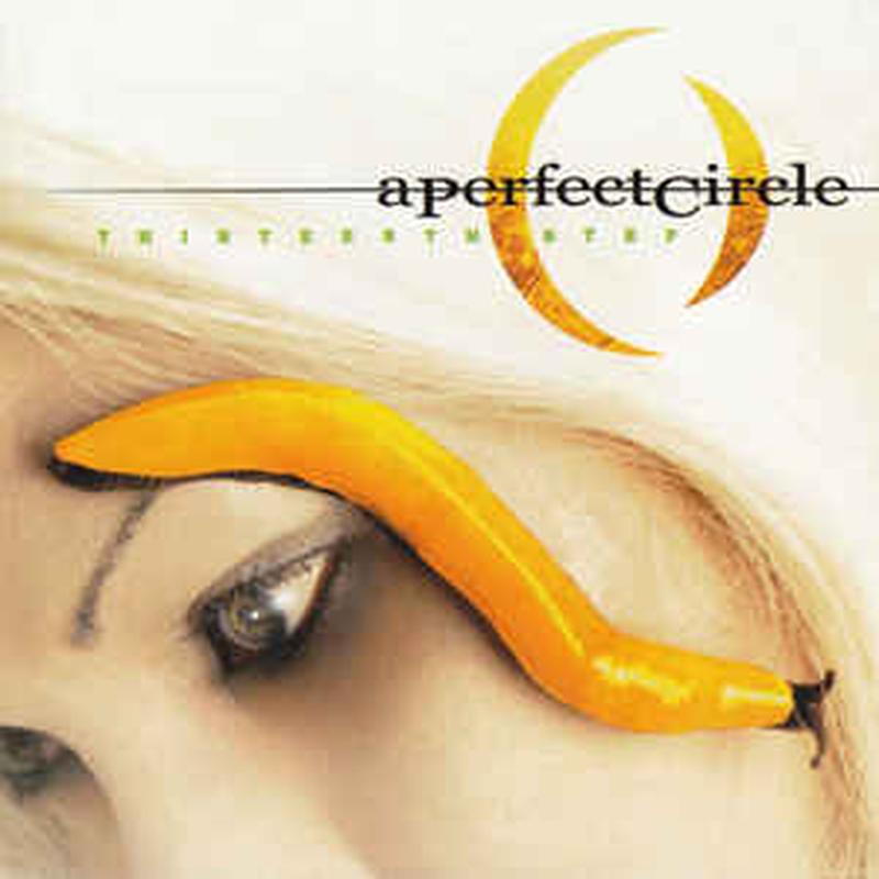 thirteenth-step