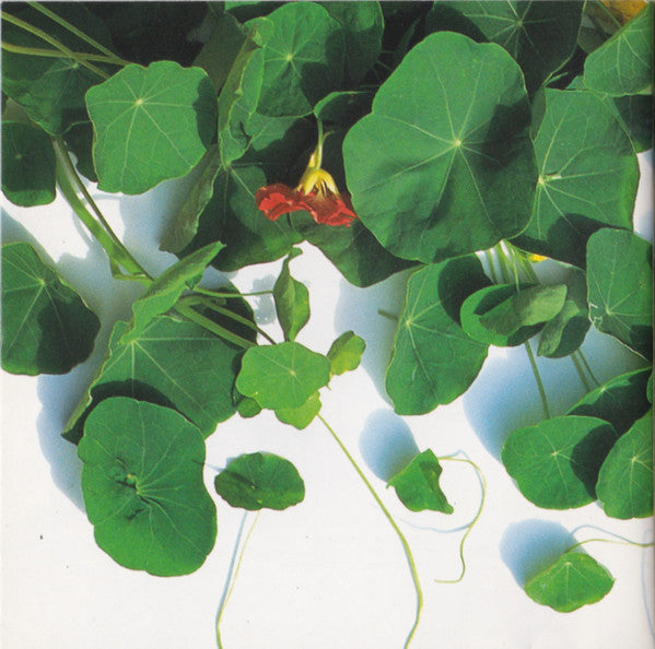 atom-heart-mother