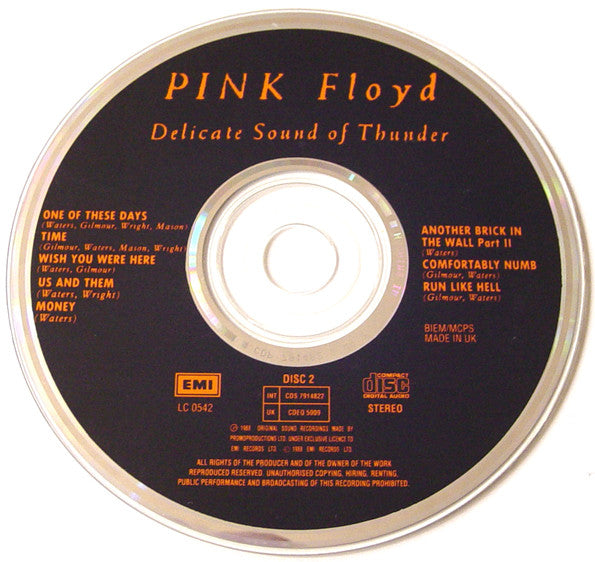 delicate-sound-of-thunder