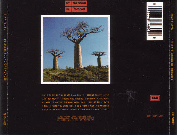 delicate-sound-of-thunder