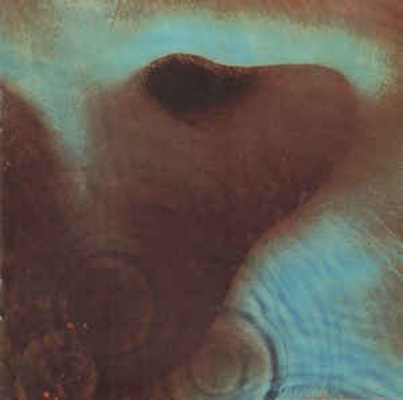 meddle