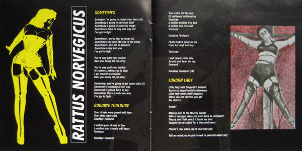 iv-/-rattus-norvegicus