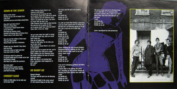 iv-/-rattus-norvegicus