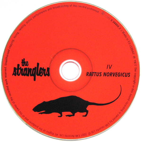 iv-/-rattus-norvegicus