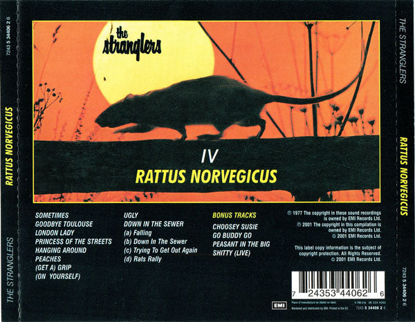 iv-/-rattus-norvegicus