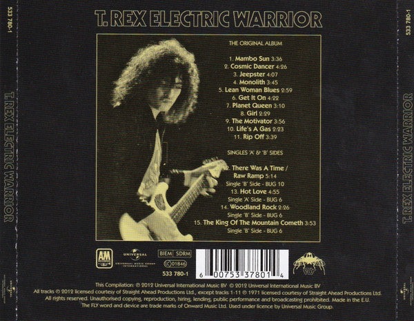 electric-warrior