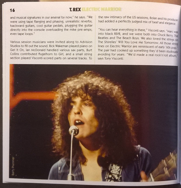 electric-warrior