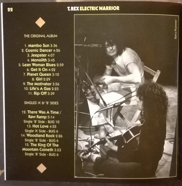electric-warrior