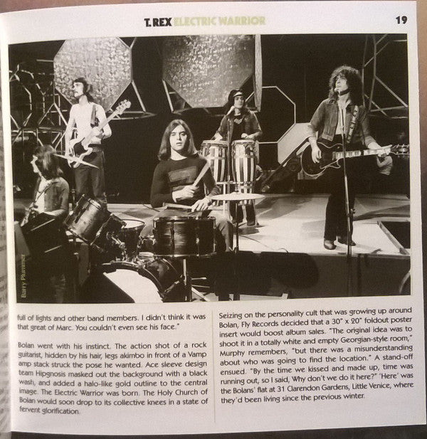 electric-warrior
