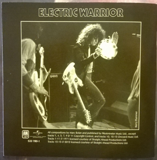 electric-warrior