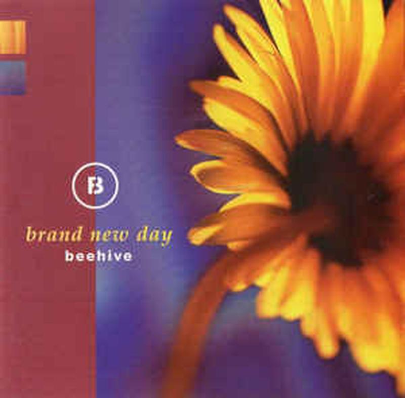 brand-new-day